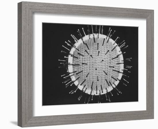 Model of Virus Magnified 2.5 Million Times-Yale Joel-Framed Photographic Print