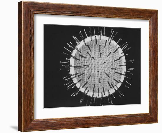 Model of Virus Magnified 2.5 Million Times-Yale Joel-Framed Photographic Print