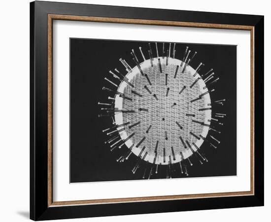 Model of Virus Magnified 2.5 Million Times-Yale Joel-Framed Photographic Print