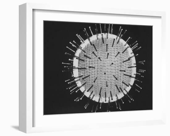 Model of Virus Magnified 2.5 Million Times-Yale Joel-Framed Photographic Print