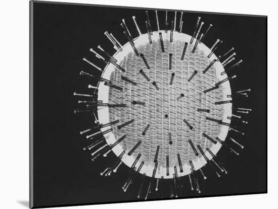 Model of Virus Magnified 2.5 Million Times-Yale Joel-Mounted Photographic Print