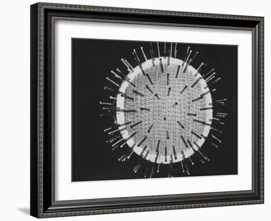 Model of Virus Magnified 2.5 Million Times-Yale Joel-Framed Photographic Print