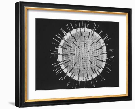 Model of Virus Magnified 2.5 Million Times-Yale Joel-Framed Photographic Print