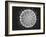 Model of Virus Magnified 2.5 Million Times-Yale Joel-Framed Photographic Print