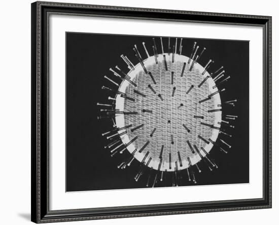 Model of Virus Magnified 2.5 Million Times-Yale Joel-Framed Photographic Print