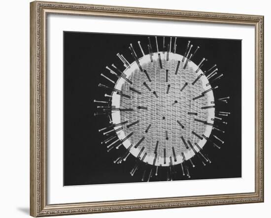 Model of Virus Magnified 2.5 Million Times-Yale Joel-Framed Photographic Print
