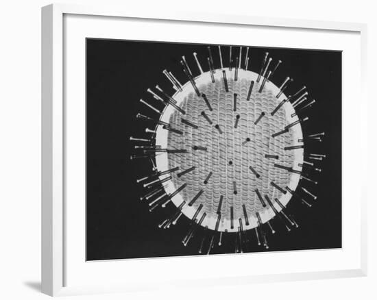 Model of Virus Magnified 2.5 Million Times-Yale Joel-Framed Photographic Print