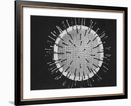 Model of Virus Magnified 2.5 Million Times-Yale Joel-Framed Photographic Print