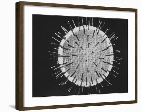 Model of Virus Magnified 2.5 Million Times-Yale Joel-Framed Photographic Print