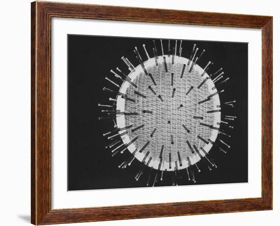 Model of Virus Magnified 2.5 Million Times-Yale Joel-Framed Photographic Print