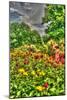 Model Release Garden Vertical-Robert Goldwitz-Mounted Photographic Print