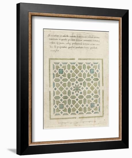 Modèle de parterre de jardin avec étoile-null-Framed Giclee Print