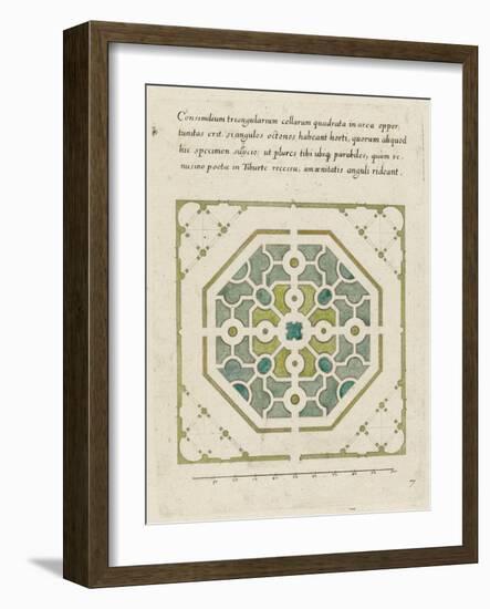 Modèle de parterre de jardin octogonal-null-Framed Giclee Print