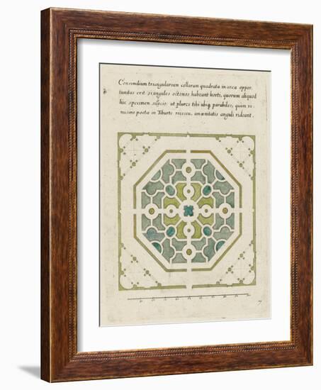 Modèle de parterre de jardin octogonal-null-Framed Giclee Print