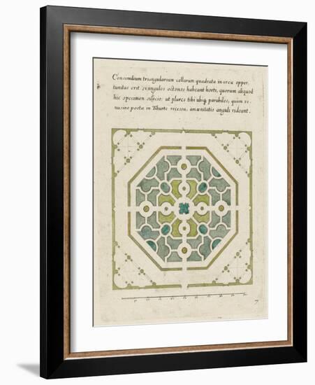 Modèle de parterre de jardin octogonal-null-Framed Giclee Print