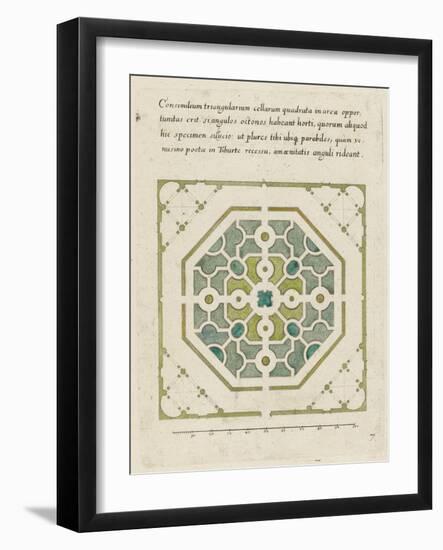 Modèle de parterre de jardin octogonal-null-Framed Giclee Print