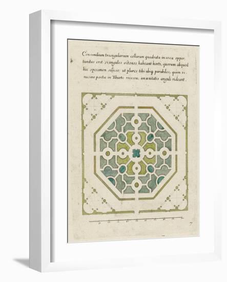 Modèle de parterre de jardin octogonal-null-Framed Giclee Print