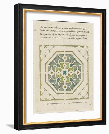 Modèle de parterre de jardin octogonal-null-Framed Giclee Print