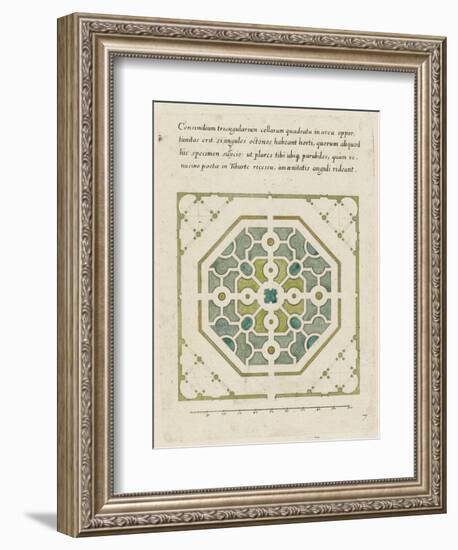 Modèle de parterre de jardin octogonal-null-Framed Giclee Print