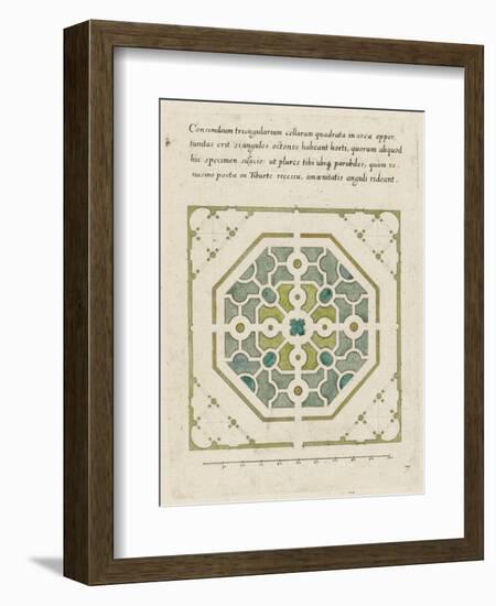 Modèle de parterre de jardin octogonal-null-Framed Giclee Print