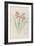 Modèle de vase en cristal à décor d'himantophyllum, pour décor de marqueterie-Emile Gallé-Framed Giclee Print