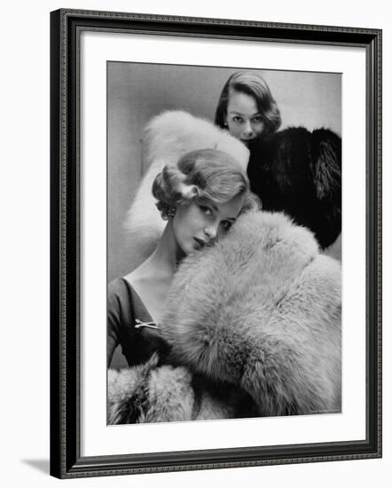 Models Holding Outsize Muffs in Assorted Colors, Selling For $85-$240-Gordon Parks-Framed Photographic Print