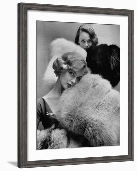 Models Holding Outsize Muffs in Assorted Colors, Selling For $85-$240-Gordon Parks-Framed Photographic Print