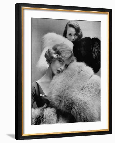 Models Holding Outsize Muffs in Assorted Colors, Selling For $85-$240-Gordon Parks-Framed Photographic Print