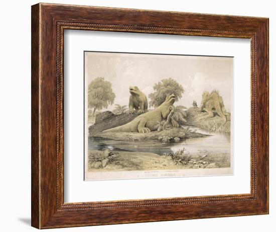 Models of Dinosaurs and Other Species at the Crystal Palace Sydenham-null-Framed Art Print