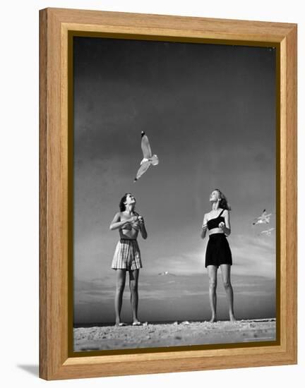 Models Tee Matthews and Bobbie Chambliss Feeding Gulls While Modeling New Bathing Suit Styles-Alfred Eisenstaedt-Framed Premier Image Canvas