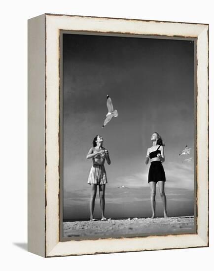 Models Tee Matthews and Bobbie Chambliss Feeding Gulls While Modeling New Bathing Suit Styles-Alfred Eisenstaedt-Framed Premier Image Canvas