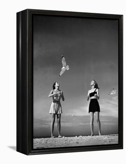 Models Tee Matthews and Bobbie Chambliss Feeding Gulls While Modeling New Bathing Suit Styles-Alfred Eisenstaedt-Framed Premier Image Canvas
