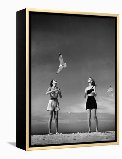 Models Tee Matthews and Bobbie Chambliss Feeding Gulls While Modeling New Bathing Suit Styles-Alfred Eisenstaedt-Framed Premier Image Canvas