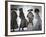 Models Wear Creations by British Fashion Designer John Galliano-null-Framed Photographic Print