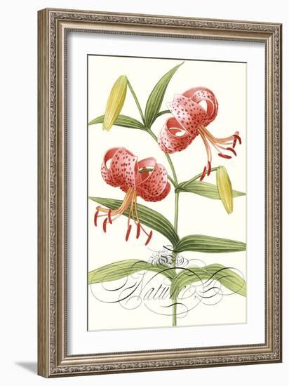 Modern Atelier II-Sarah Chilton-Framed Art Print