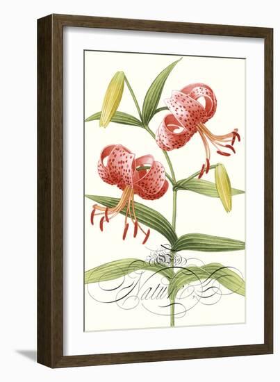 Modern Atelier II-Sarah Chilton-Framed Art Print