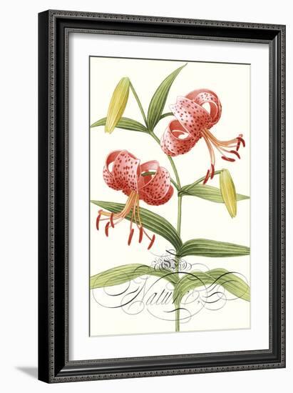 Modern Atelier II-Sarah Chilton-Framed Art Print