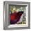 Modern Bird VII-Jennifer Lommers-Framed Art Print