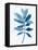 Modern Blue Botanical I-Aria K-Framed Stretched Canvas