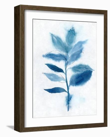 Modern Blue Botanical II-Aria K-Framed Art Print
