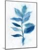 Modern Blue Botanical II-Aria K-Mounted Art Print