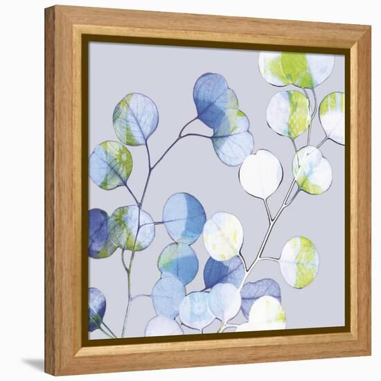 Modern Branch II-Ricki Mountain-Framed Stretched Canvas