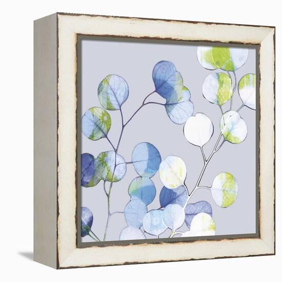 Modern Branch II-Ricki Mountain-Framed Stretched Canvas