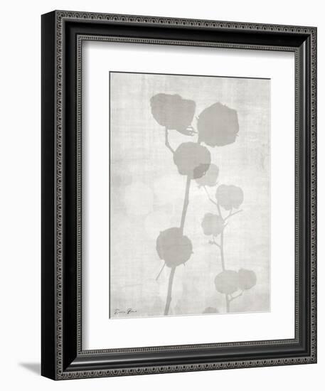 Modern Cotton 2-Denise Brown-Framed Premium Giclee Print