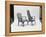 Modern Furniture, 1960-Yale Joel-Framed Premier Image Canvas