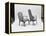 Modern Furniture, 1960-Yale Joel-Framed Premier Image Canvas