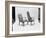 Modern Furniture, 1960-Yale Joel-Framed Photographic Print