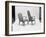 Modern Furniture, 1960-Yale Joel-Framed Photographic Print