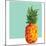 Modern Geometric Pineapple-cienpies-Mounted Art Print