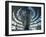 Modern Glass Building, Reichstag, Berlin, Germany, Europe-Hans Peter Merten-Framed Photographic Print